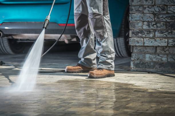 Best Winterizing Services  in Escobares, TX